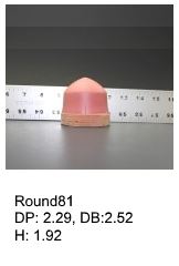 Round81, round silicone print pad from AccuPad Inc.